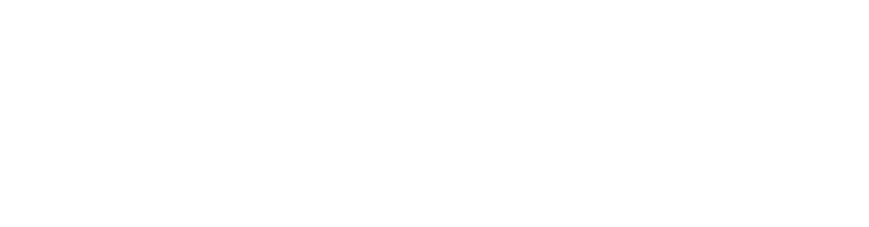 Groupe Optiro